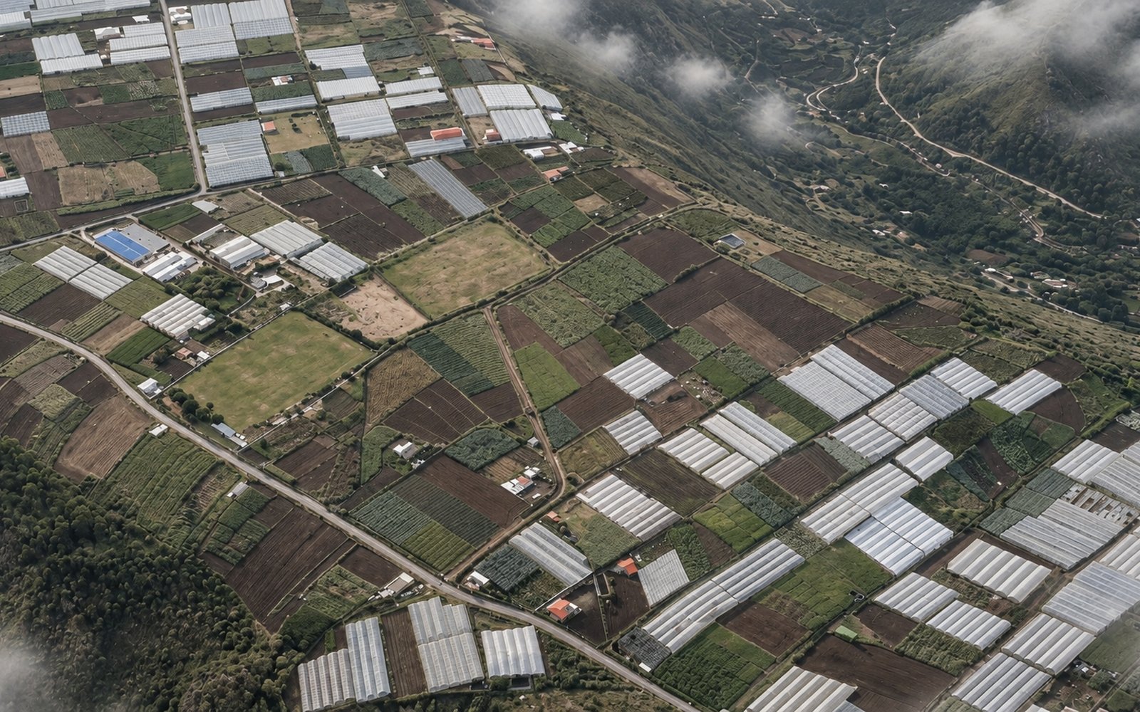 Lomas de Izamba